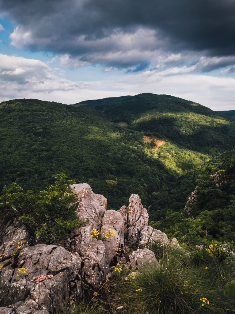Aerial view of lush green hills with rocky outcrops yellow wildflowers and dramatic clouds Wallpaper