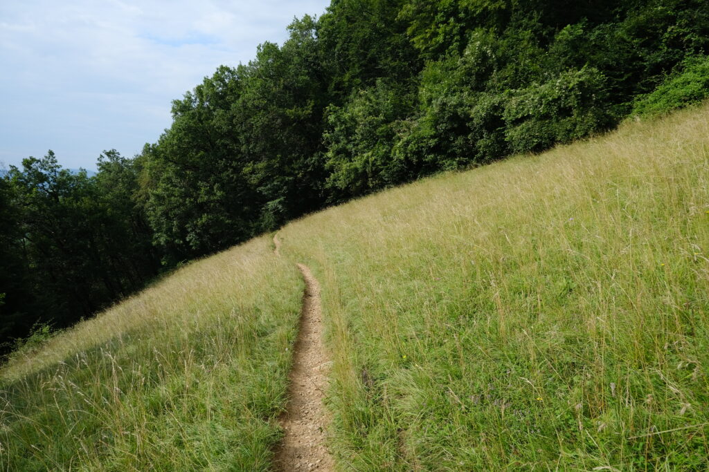 Peaceful hillside path through sunlit field with green trees under clear blue sky wallpaper