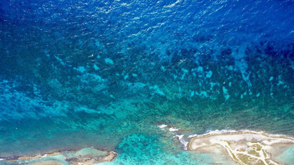 Aerial view of sunlit island coast with lush greenery and shimmering turquoise sea wallpaper background