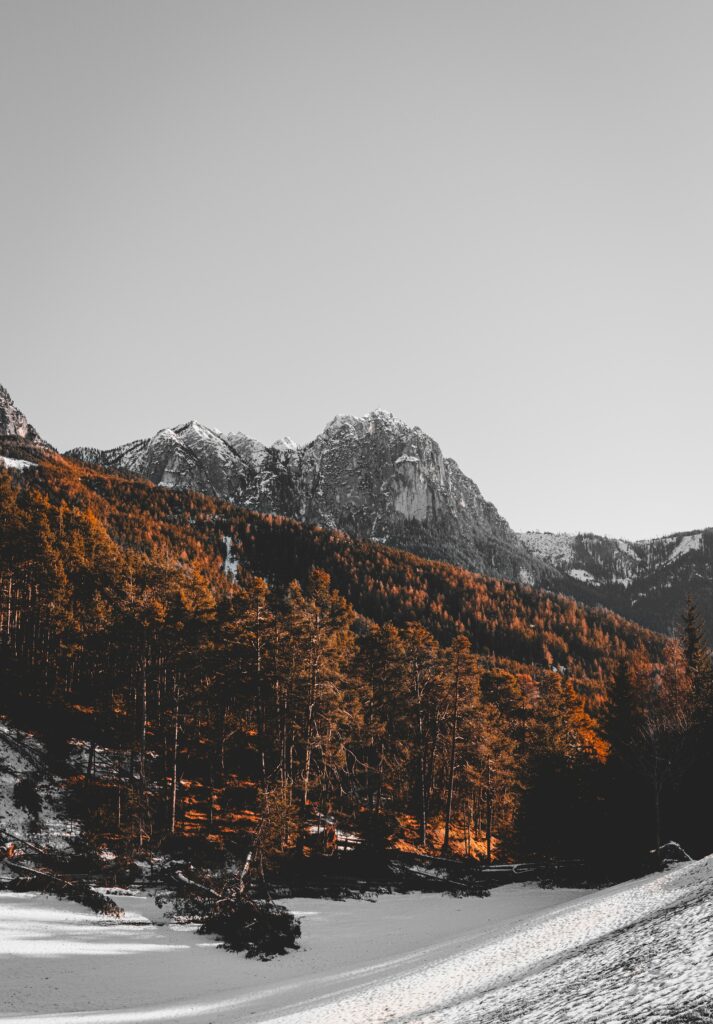 Mountain peak above sunlit autumn forest with snow patches creating vivid contrast wallpaper