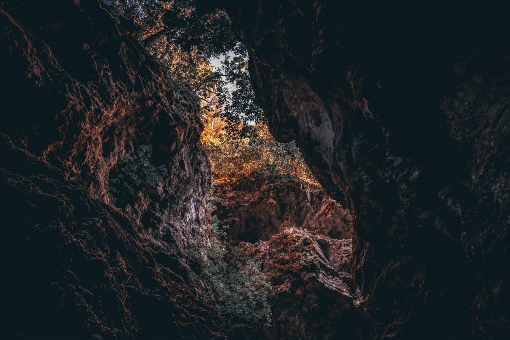 Dramatic rocky gorge view with sunlit treetops and rugged cave walls wallpaper background