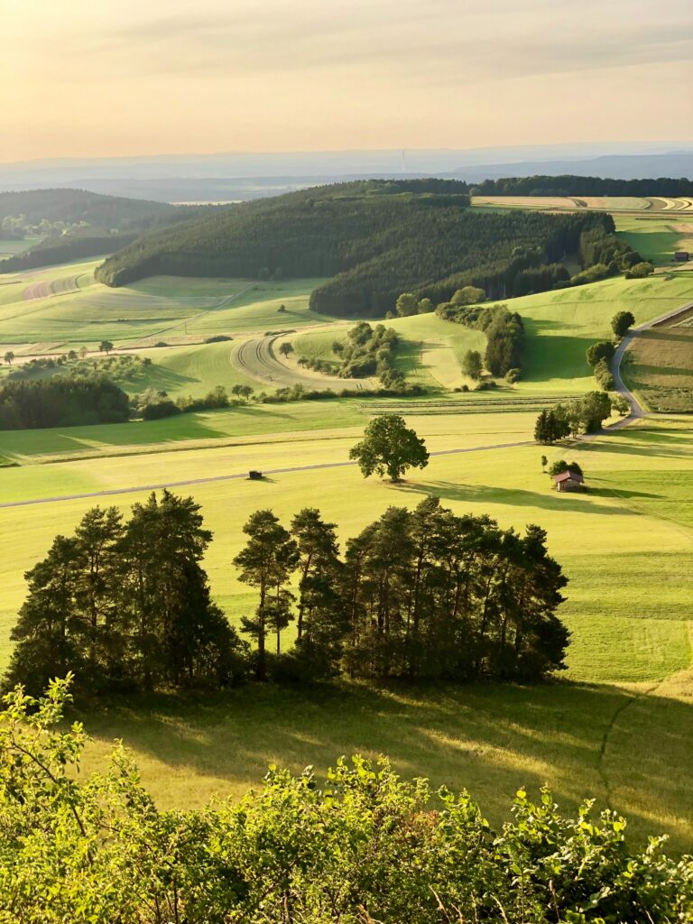 Aerial view of sunlit rolling meadows hills forests winding roads serene countryside wallpaper