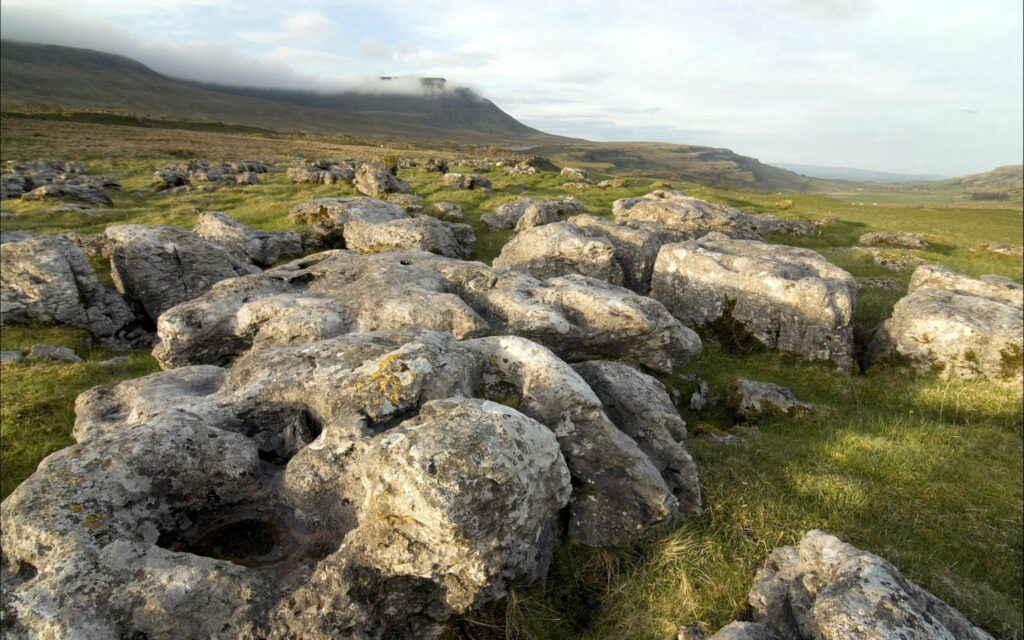 Sunlit grassy field with rugged stones and misty distant hills under a bright summer sky Wallpaper