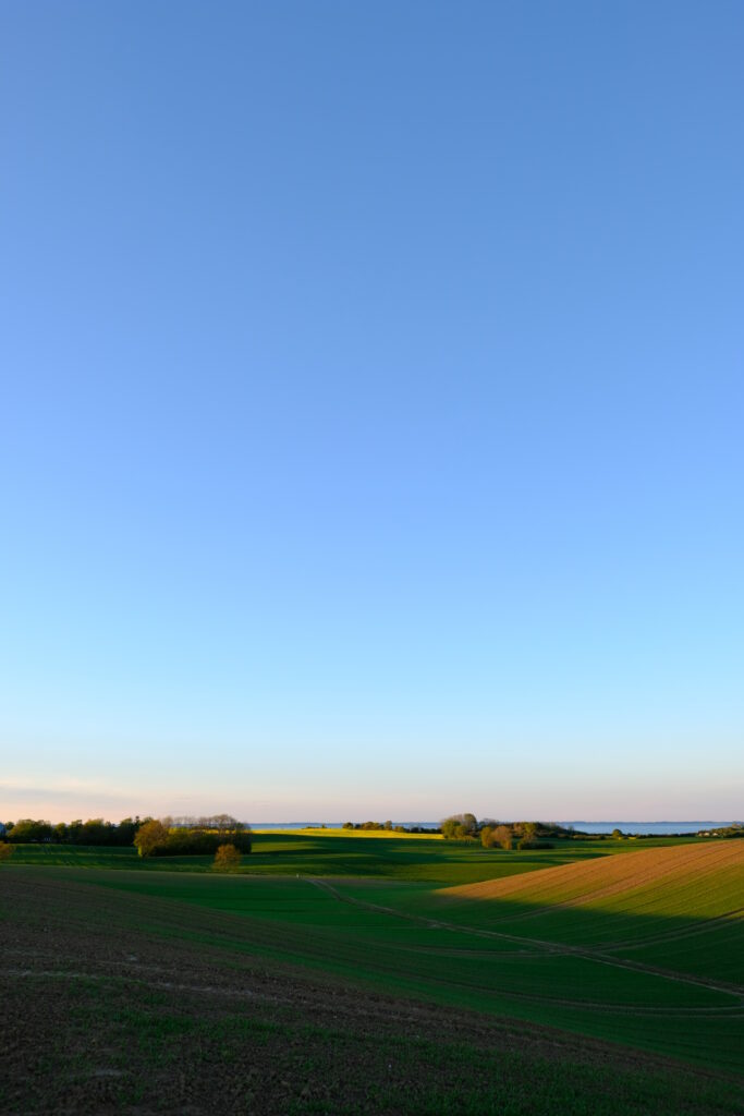 Serene green grass field with scattered trees and winding path under clear blue sky wallpaper