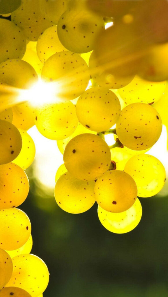 Sun-kissed Delight: Captivating Phone Wallpaper featuring a Luscious Cluster of Round Green Grapes in Natural Light