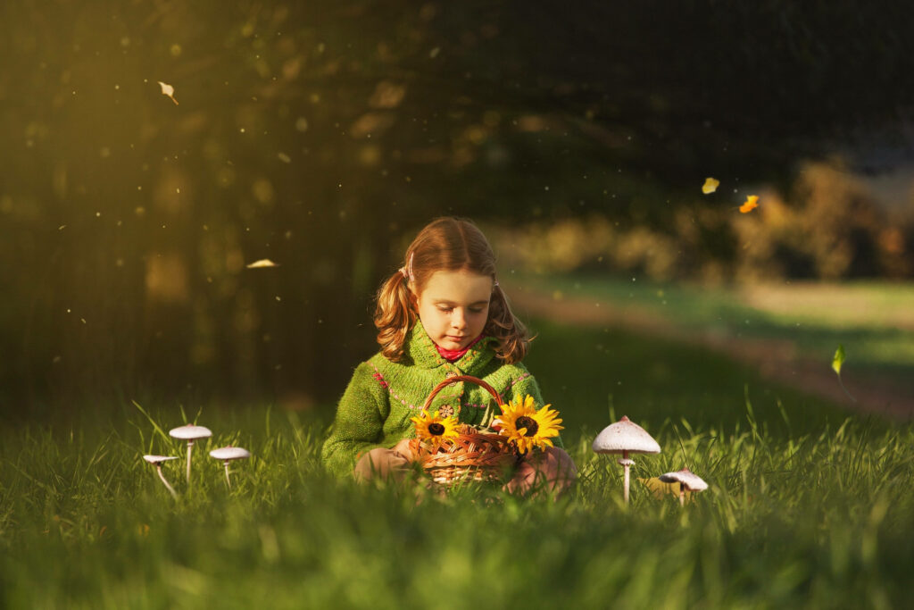 Young girl in sunlit grassy field holding sunflower basket with mushrooms and falling leaves Wallpaper