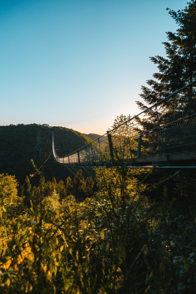 Suspension bridge over sunlit valley with lush green trees rugged rocks and morning light wallpaper