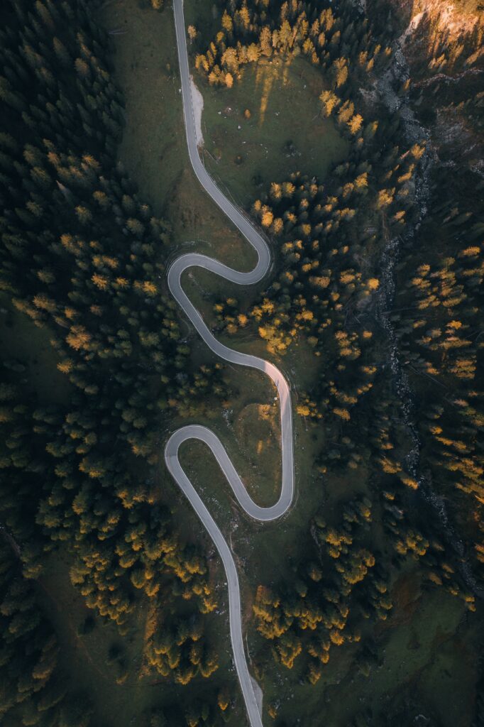 Aerial view of winding road through sunlit dense forest on hillside wallpaper background
