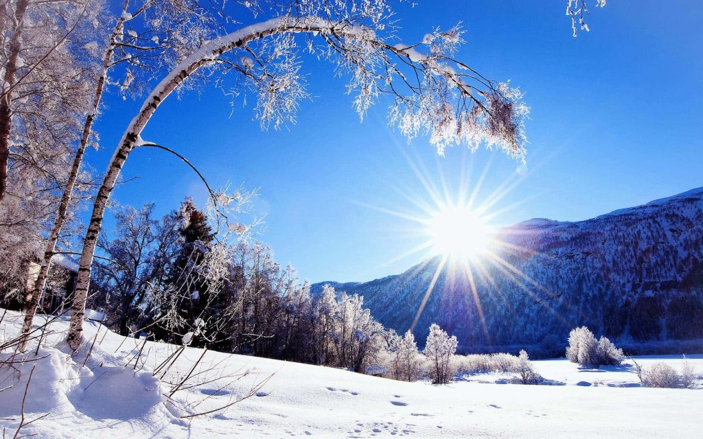 Sunshine over snowy field with frosted birch trees and mountain peaks in clear blue sky Wallpaper