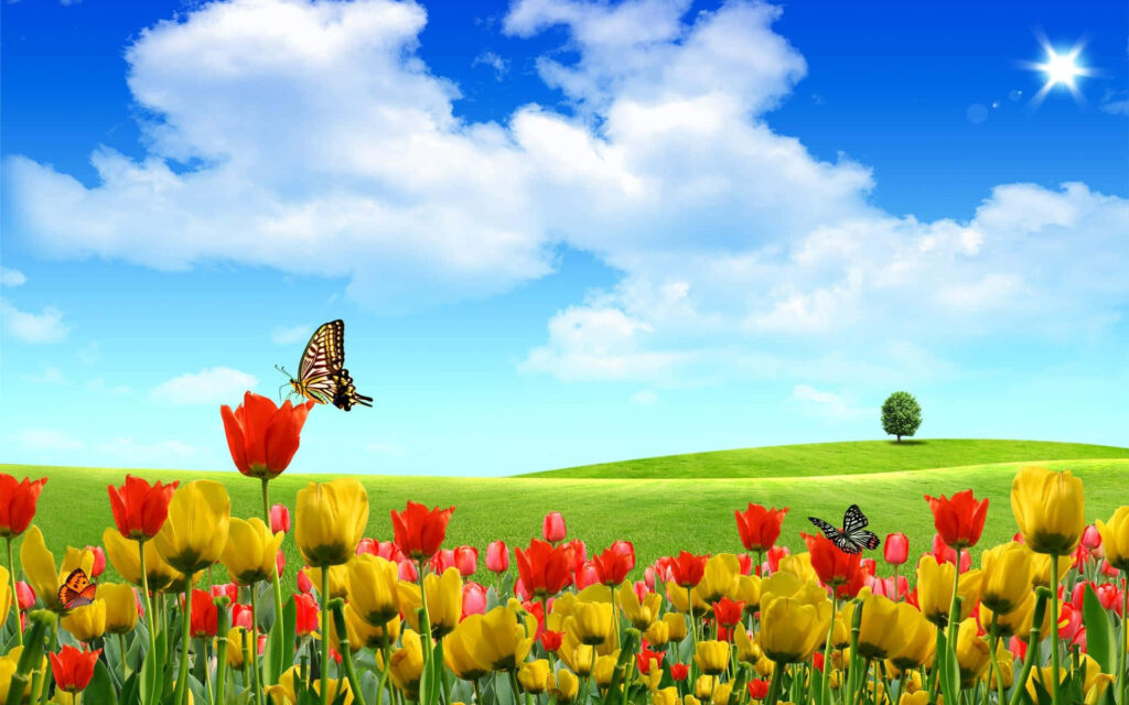 Sunny Garden Wallpaper: Colorful Tulips & Butterflies in Blue Sky