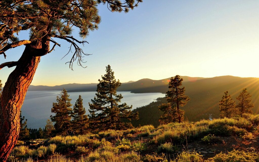 Sunrise over tranquil lake with golden sun rays through pine trees and lush green hills reflection Wallpaper