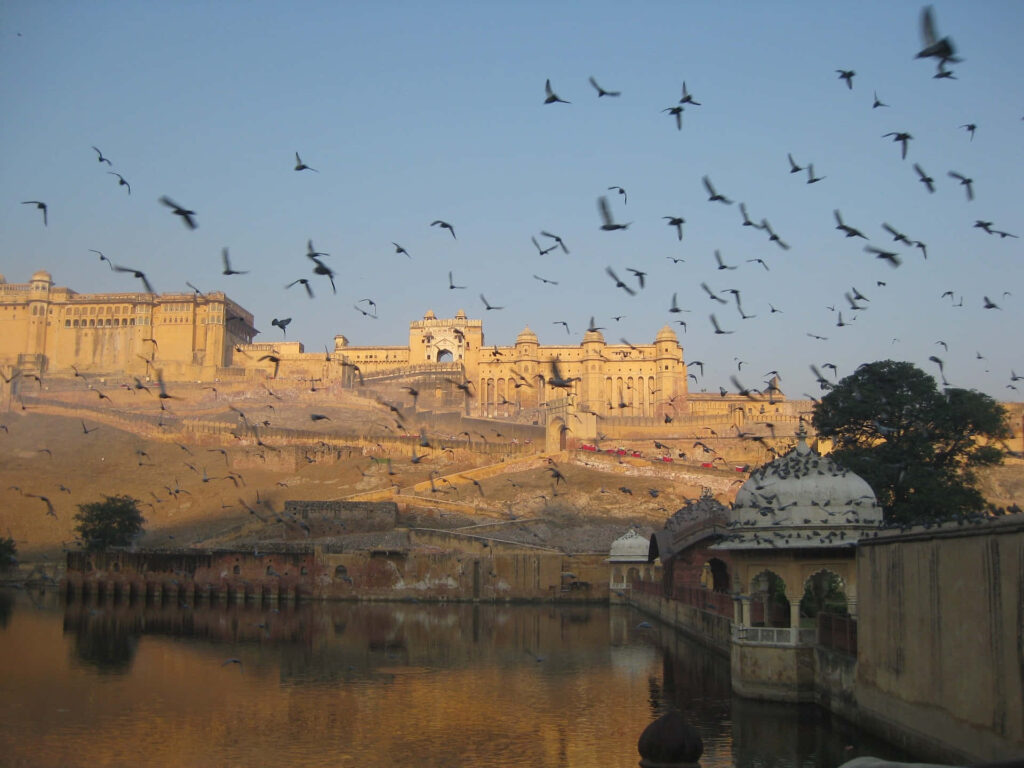 Flock of birds flying over Amber Fort sunrise with sandstone walls and reflective waters wallpaper