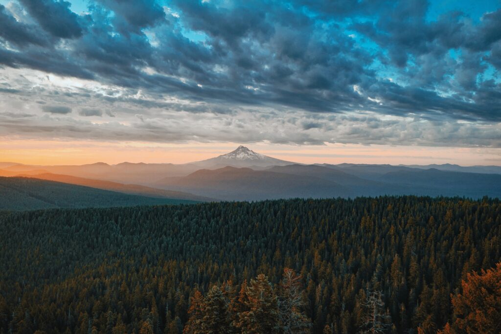 Sunrise over dense forest fog and mountain peak under dramatic cloud-filled sky wallpaper background