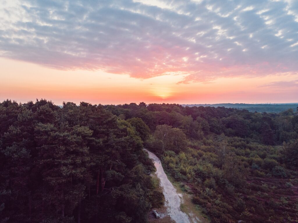 Aerial view of lush green forest with winding path at sunset under dramatic colorful sky wallpaper