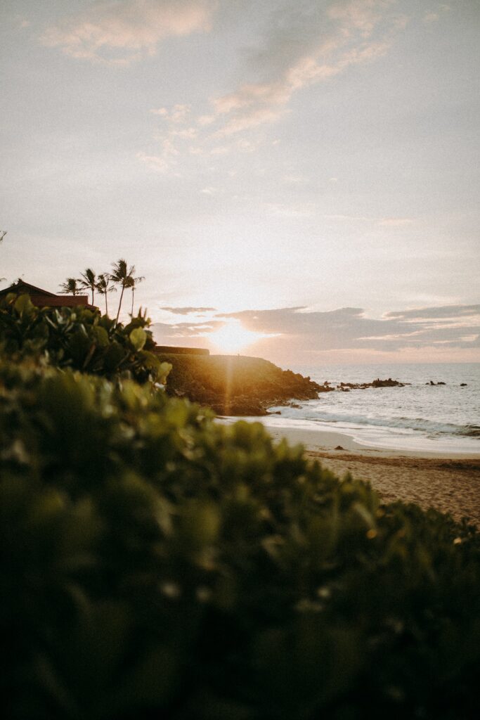 Sunset beach landscape with golden ocean light tropical palm trees rocky cliffs and green foliage Wallpaper