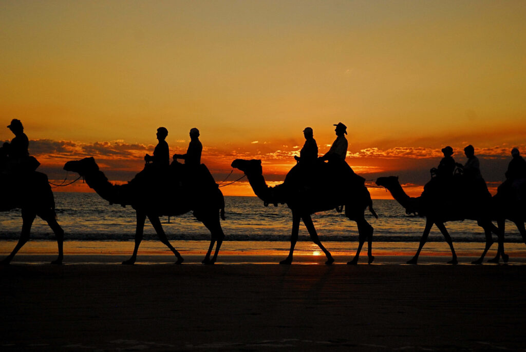 Silhouetted camel riders on beach at sunset with golden sky and waves reflecting warm light Wallpaper