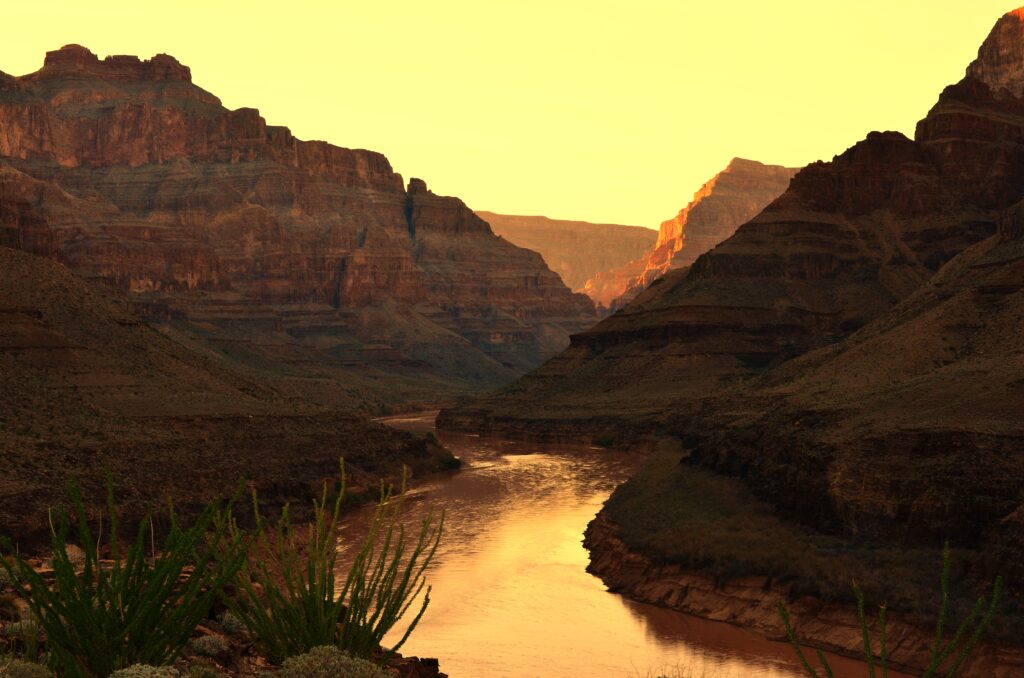 Breathtaking canyon sunset wallpaper with golden river reflections and lush green foreground plants
