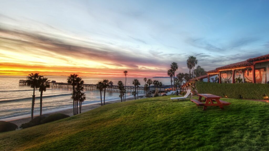Coastal sunset view with palm trees grassy slope wooden picnic table serene seaside wallpaper background