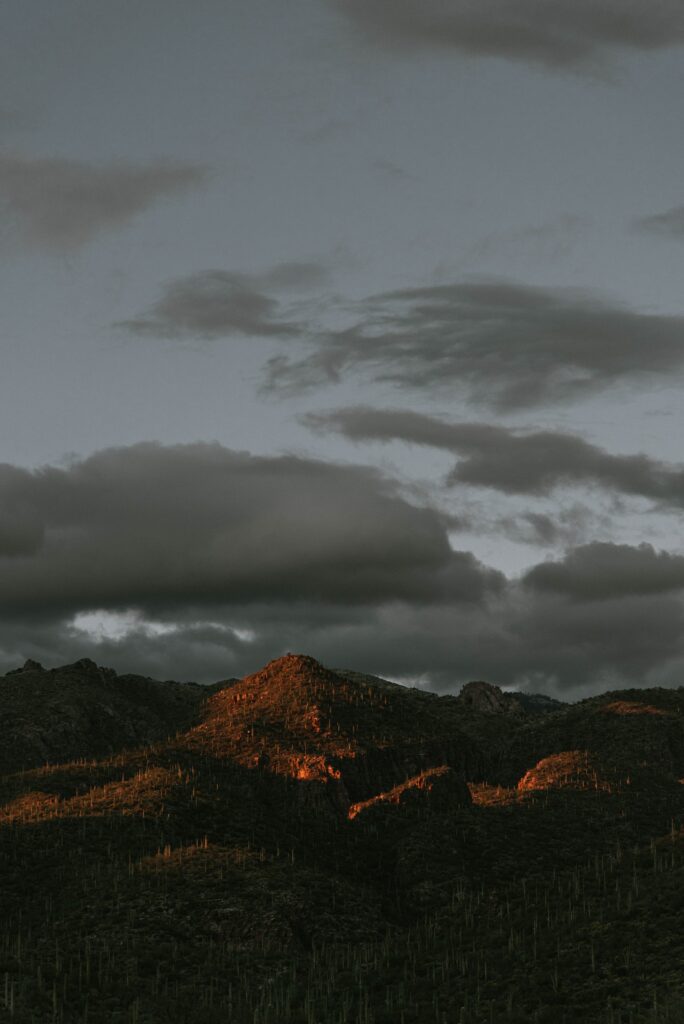 Sunset-lit rugged mountain peaks with tall cacti under dramatic dark desert clouds wallpaper