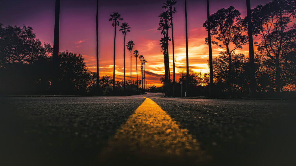 Low-angle 4K wallpaper of iconic Los Angeles palm-lined road at vibrant sunset with orange purple hues