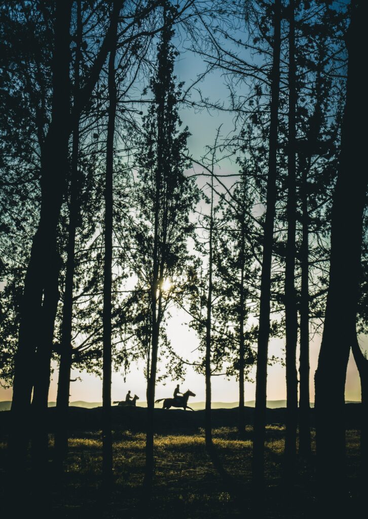 Silhouetted horseback riders galloping through dense forest at sunset with golden light filtering Wallpaper