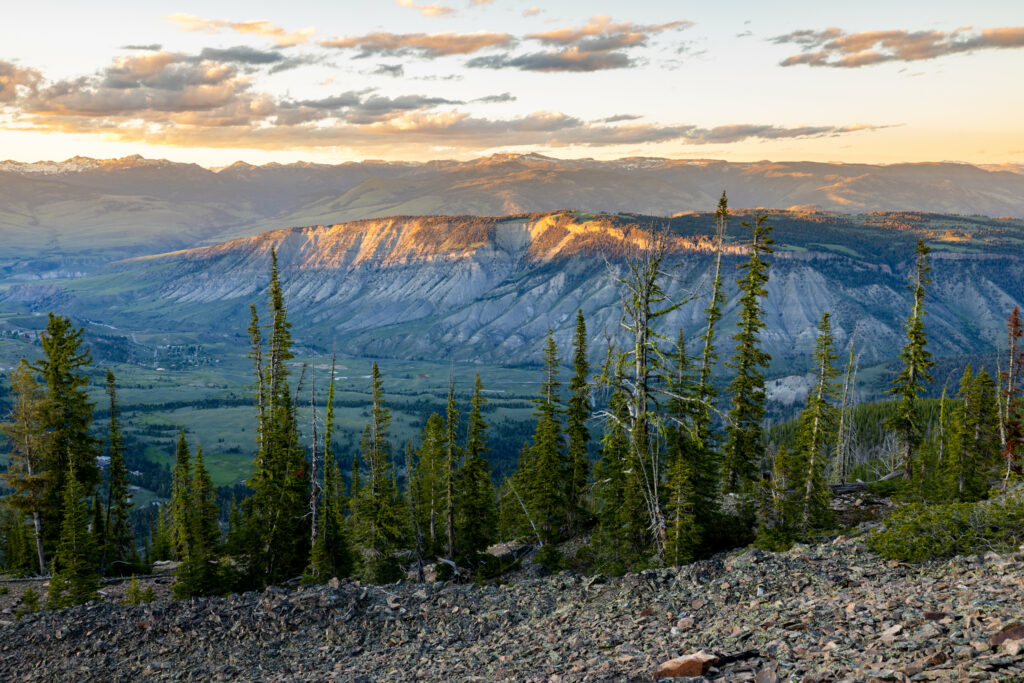 Sunset over rugged pine trees green valleys and mountain ridges in a serene natural landscape wallpaper