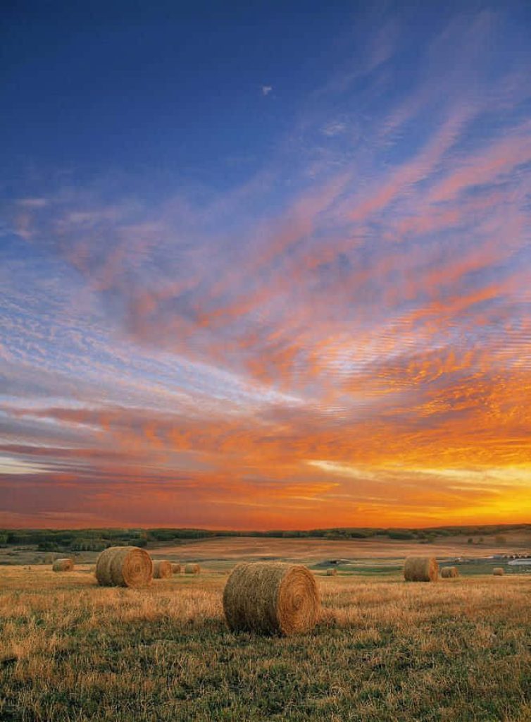Sunset over countryside with round hay bales in harvested field vibrant orange pink clouds Wallpaper