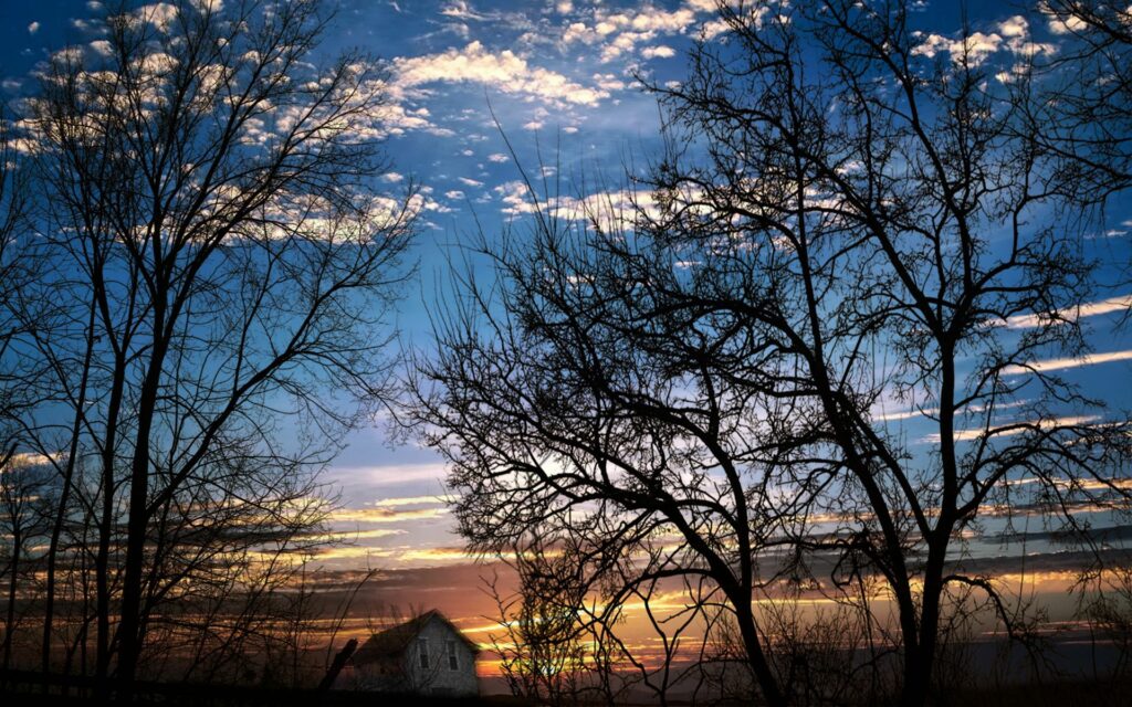 Old house on slope at sunset with bare trees and warm orange sky wallpaper background