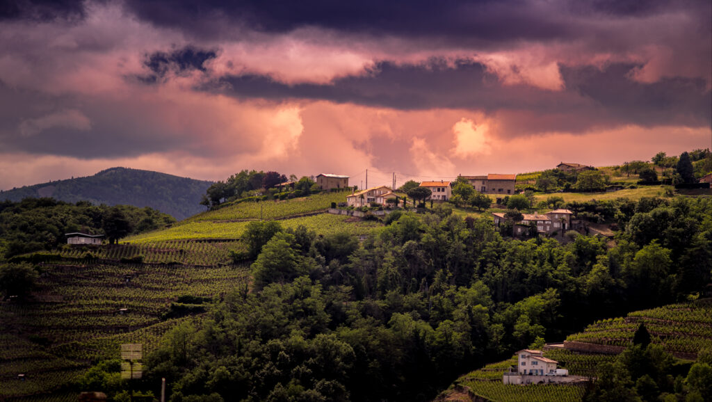 Quaint village on rolling green hills with vineyards under a warm golden sunset sky wallpaper