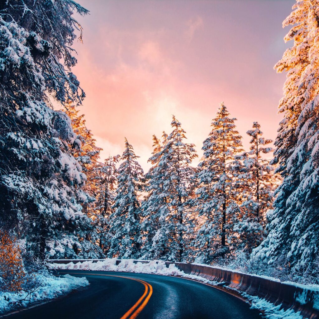 Winding snowy forest road at sunset surrounded by tall pine trees with pink orange sky Wallpaper