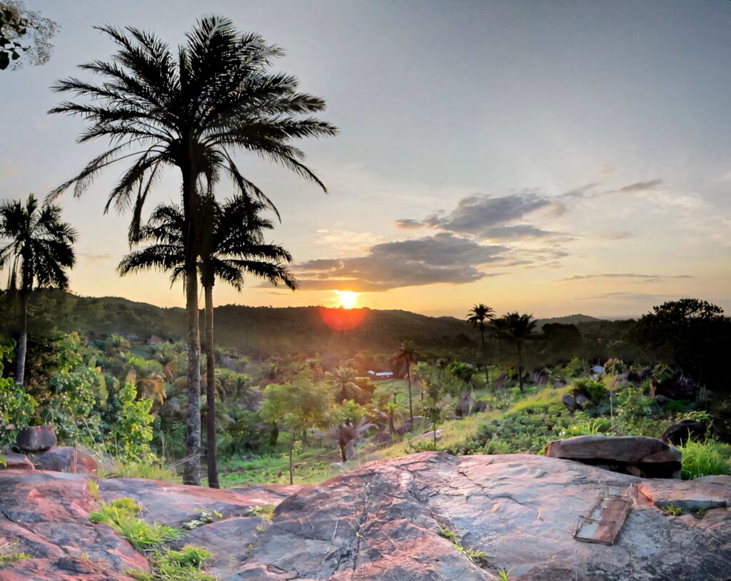 Sunset in Togo with coconut trees silhouetted against glowing sky and lush green hills wallpaper