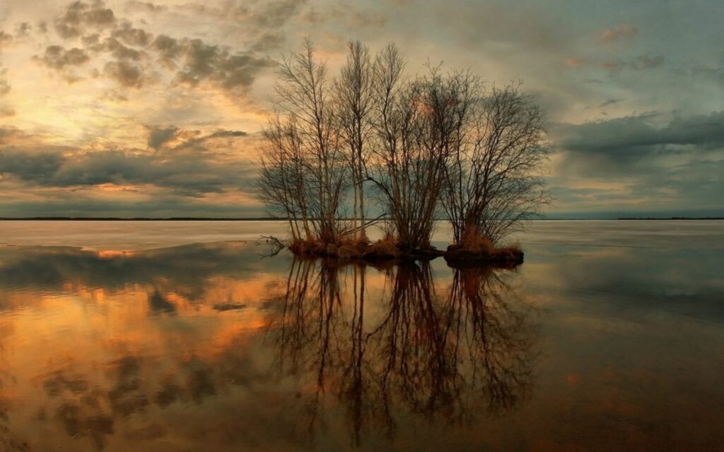Leafless trees on island reflected in calm lake at sunset with orange gold and lilac sky background Wallpaper