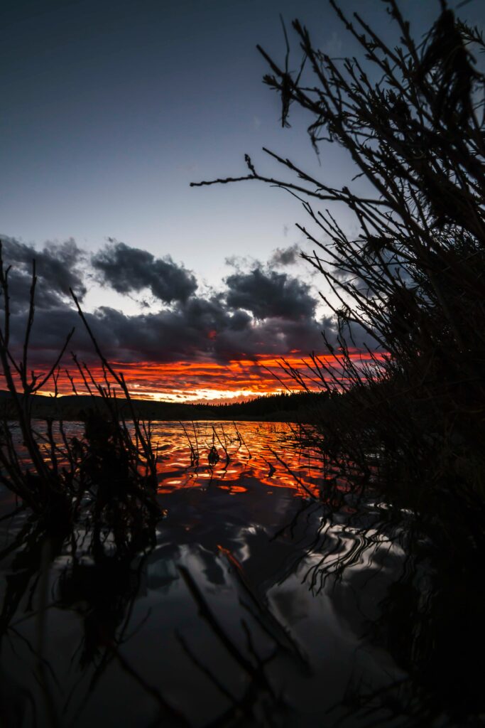 Sunset over Yellowstone lake with vibrant orange clouds and silhouetted grass reflection wallpaper