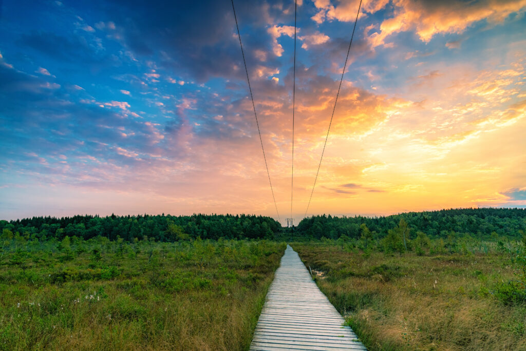 Wooden road through lush green field leading to forest under vibrant orange blue golden sunset clouds Wallpaper