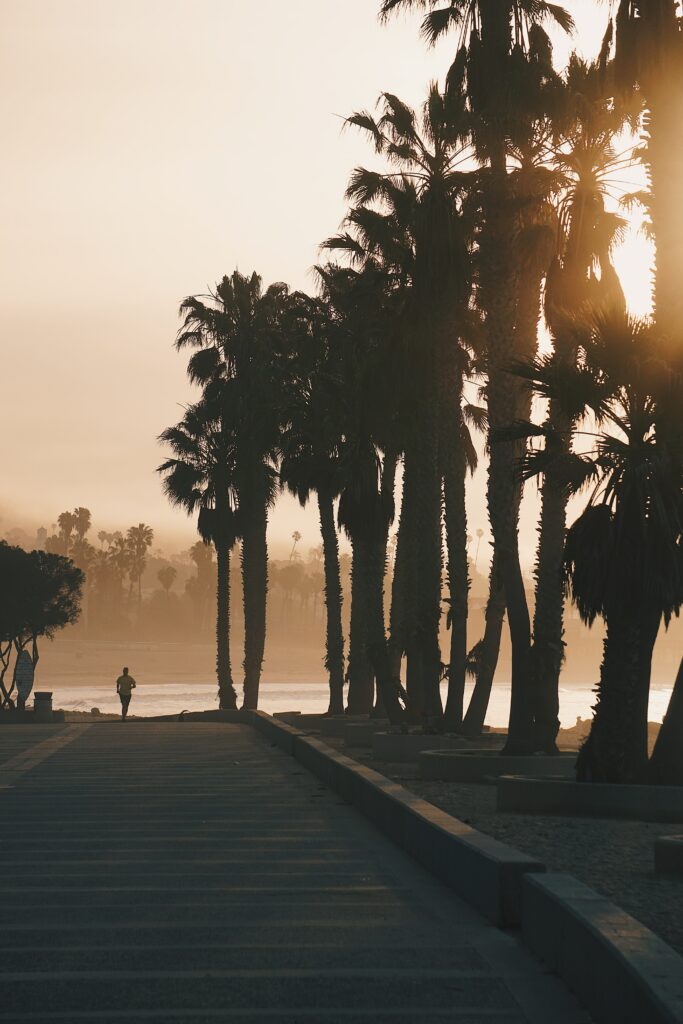 Silhouette of tall palm trees at sunset with lone runner on serene coastal wallpaper background