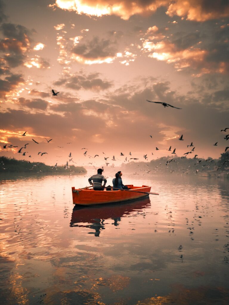 Sunset river scene with two people in orange boat calm water soaring seagulls vibrant wallpaper