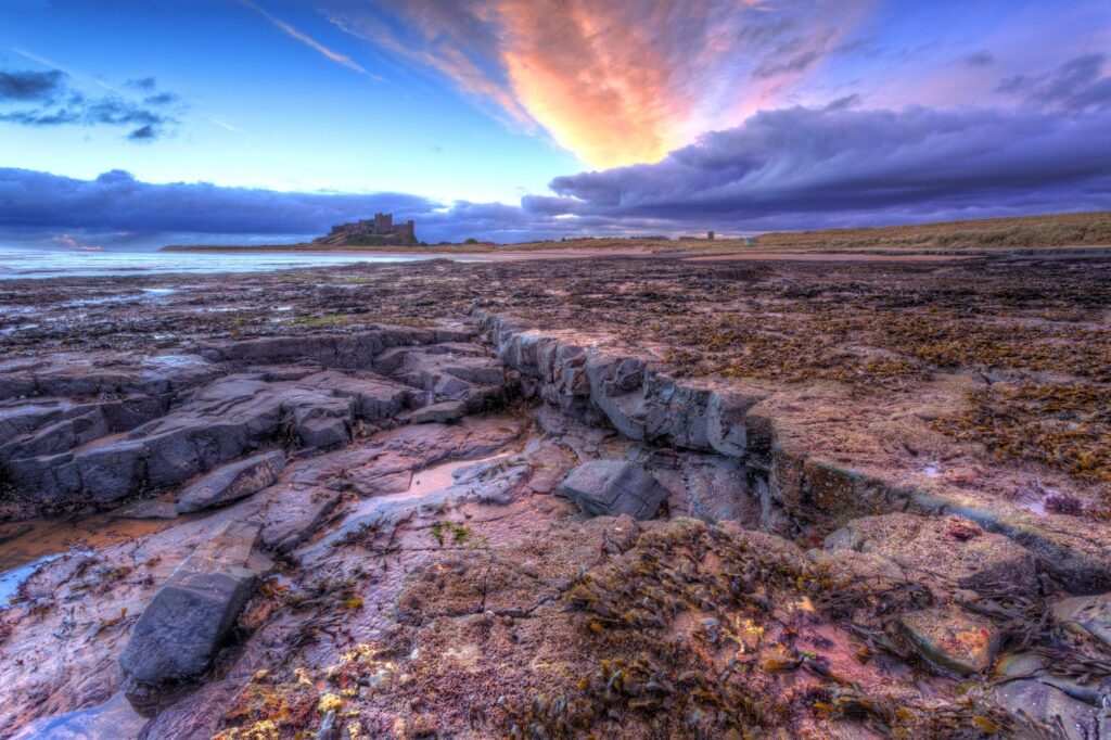 Rocky shore at sunset with vibrant clouds soft light and textured seaweed nature wallpaper background