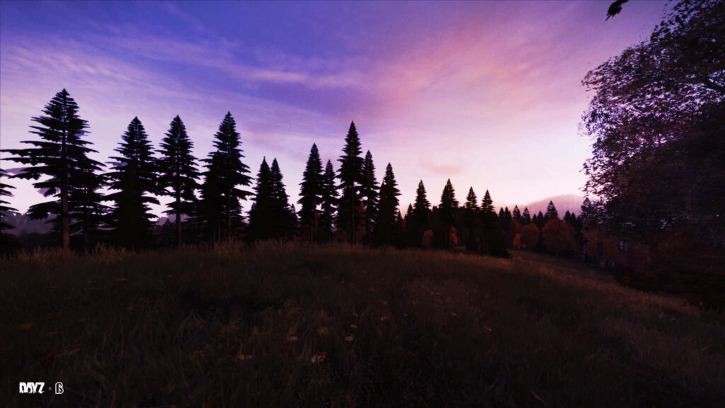 Serenity at Sunset: Captivating DayZ Landscape in 1080p Wallpaper