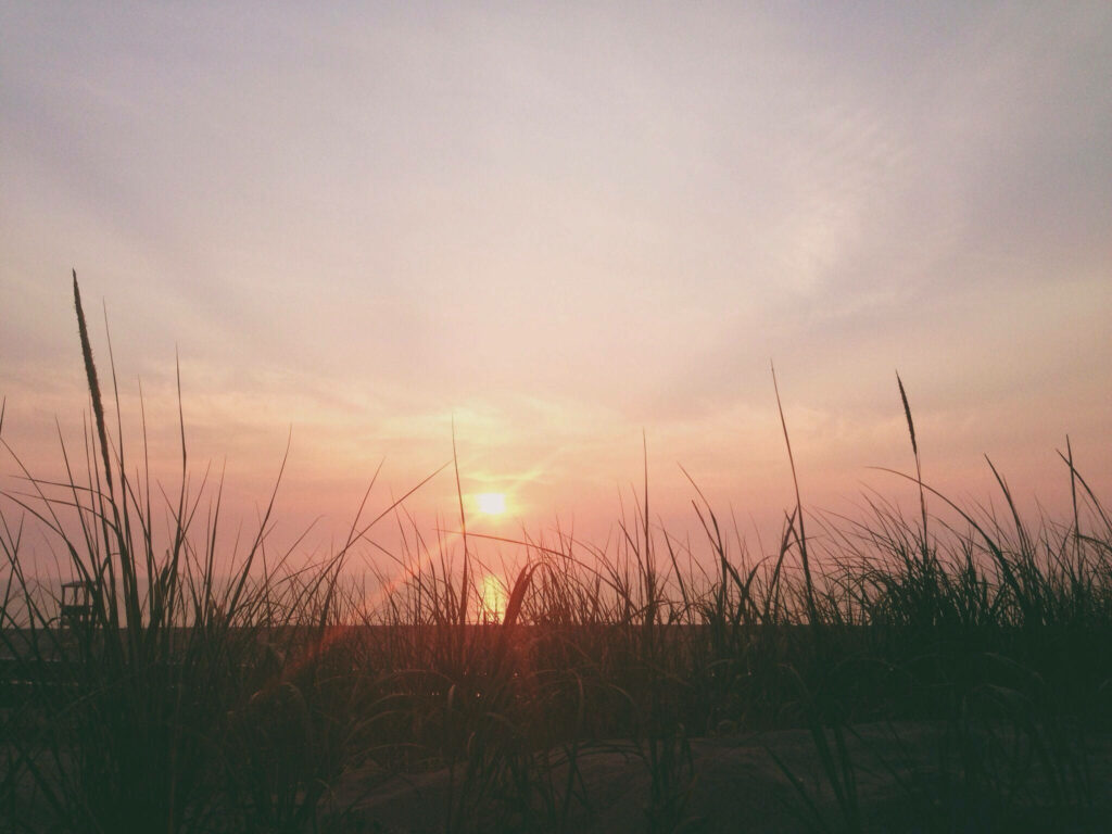 Grass Dance: A Mesmerizing Sunset Symphony Wallpaper