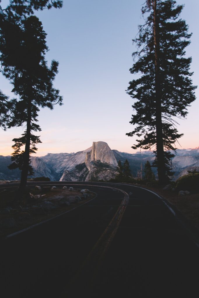 Winding road through tall spruce trees toward rugged mountains at pastel sunset wallpaper background