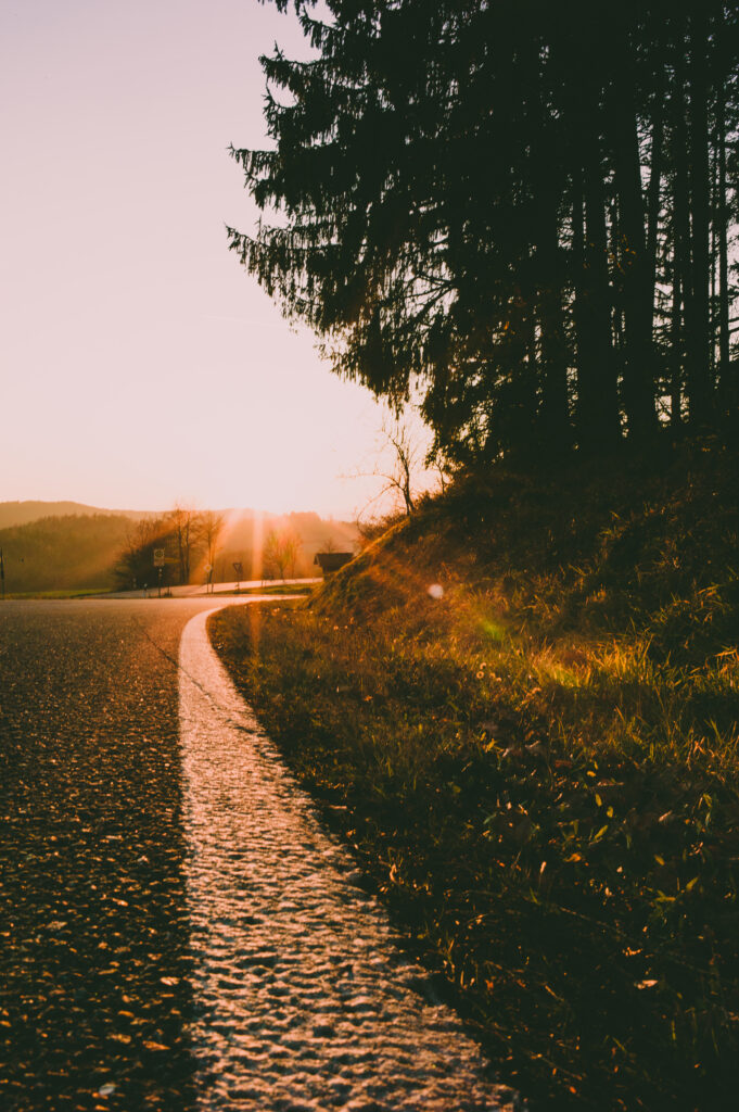 Winding road at sunset with golden light tall trees and peaceful nature landscape background Wallpaper