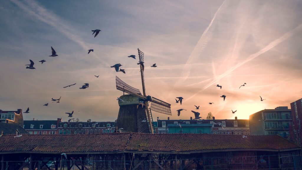 Classic windmill and old buildings at sunset with birds flying under dramatic evening sky wallpaper