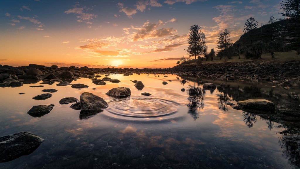 Golden sunset reflecting in rocky coastal pond with silhouetted trees calm serene dusk wallpaper