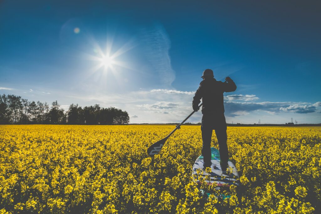 Surfer silhouette paddling on board through bright yellow flower field under sunny blue sky Wallpaper