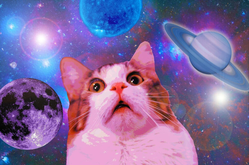 Surprised cat with wide eyes floating in colorful cosmic space with planets and stars wallpaper