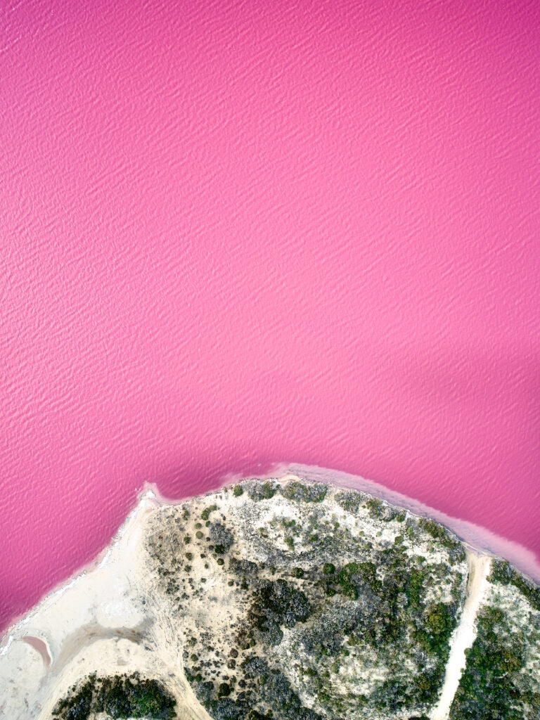 Aerial view of island coast with vibrant pink sea and rugged green shoreline wallpaper background