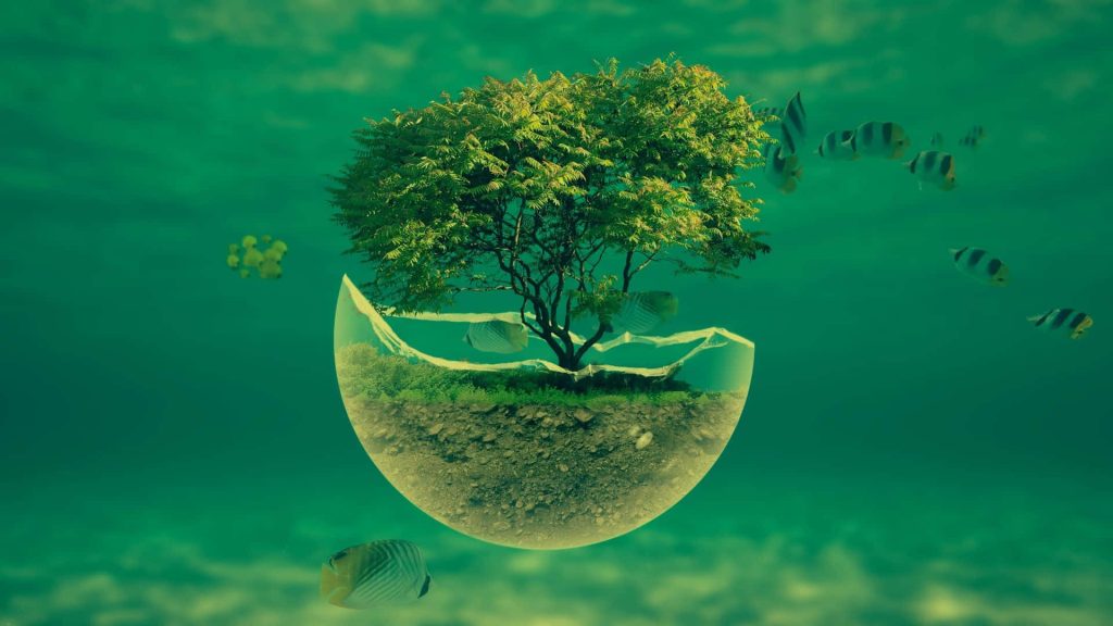 Surreal digital art of a small tree in a glass sphere underwater with tropical fish swimming Wallpaper