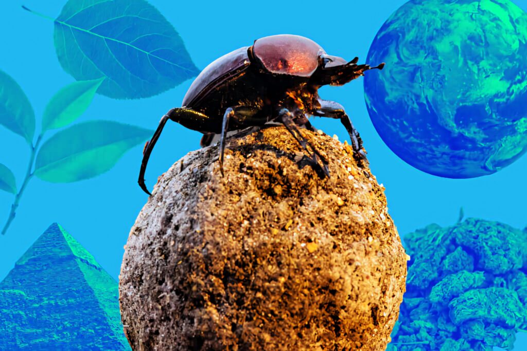 Dung beetle pushing earth ball with floating leaves pyramids planet vibrant surreal wallpaper background