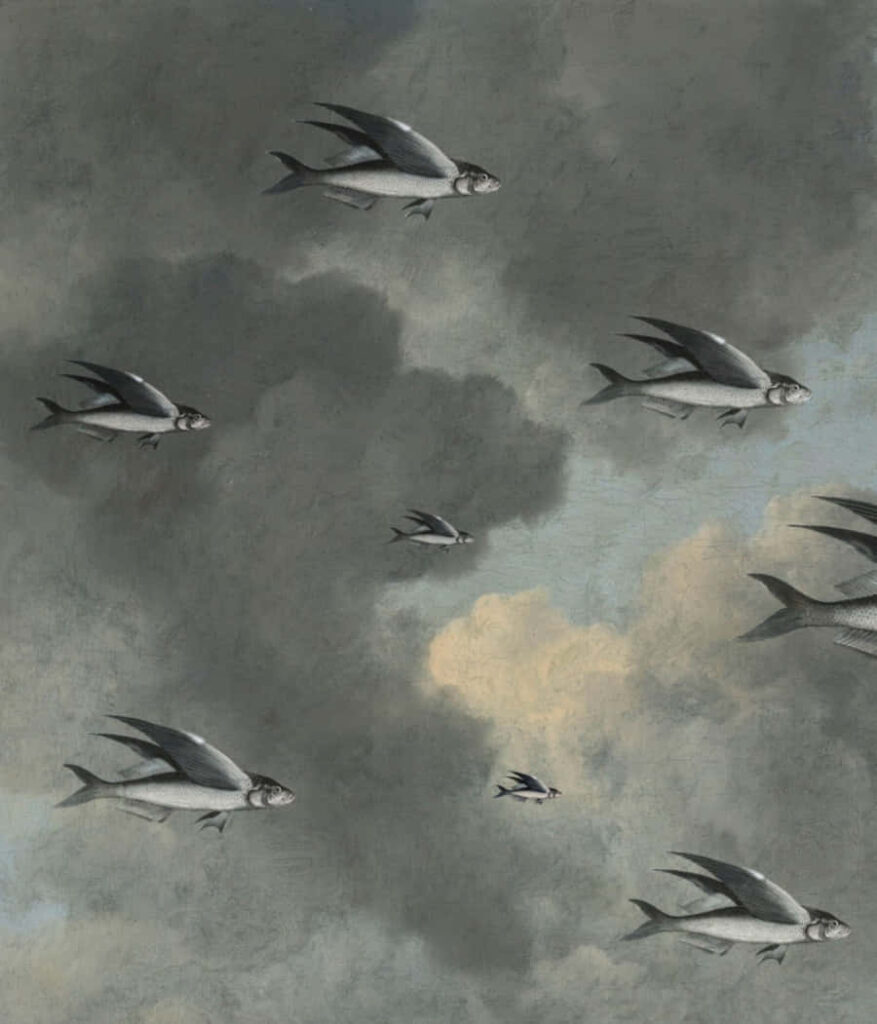 Surreal Aerial View of Flying Fish in Dreamy Cloudy Sky Wallpaper