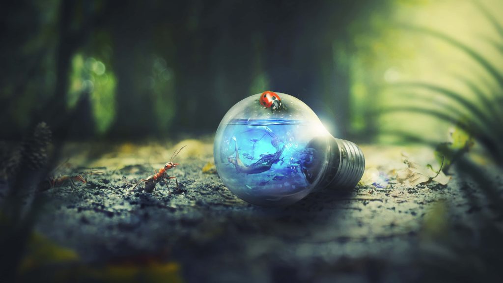 Surreal digital art of lightbulb with water and mermaid on forest floor with ladybug and ant Wallpaper
